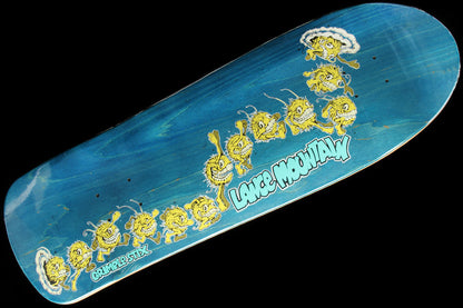 SSD 2024 - Lance Guest Deck 9.83"