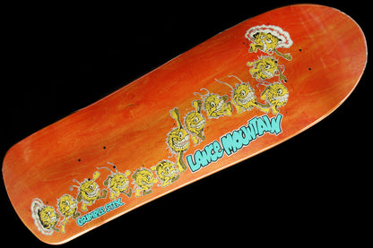 SSD 2024 - Lance Guest Deck 9.83"