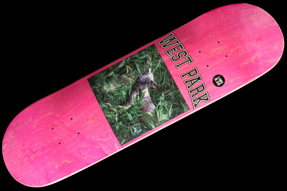 Aaron - Angel Deck 8.38" & 8.5"