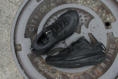 ACG Mountain Fly 2 Low Gore-Tex