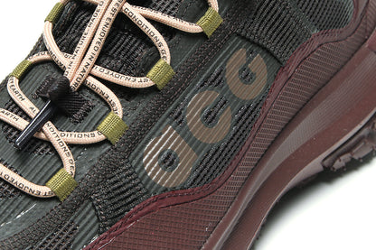 ACG Mountain Fly 2 Low Gore-Tex
