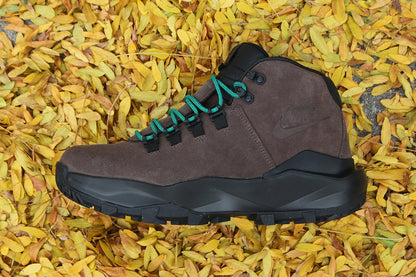 ACG Cygnal