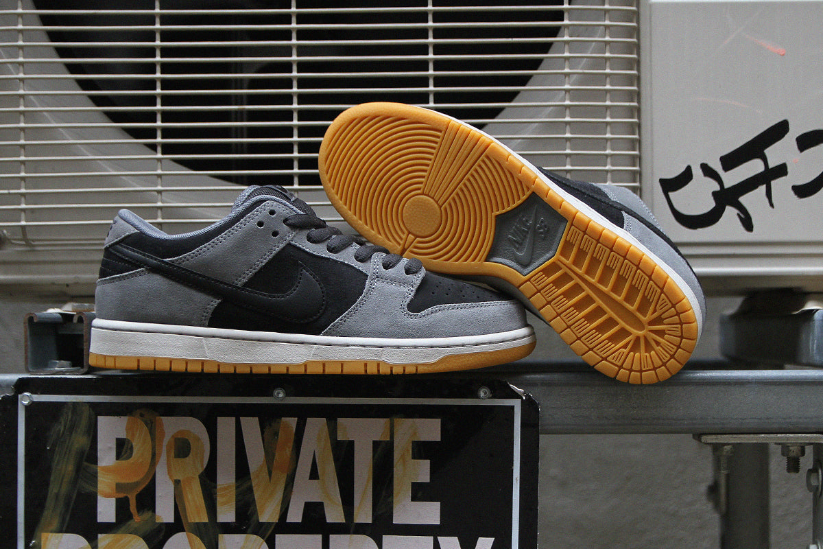 Dunk Low Pro