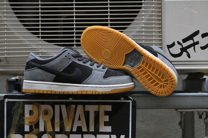 Dunk Low Pro