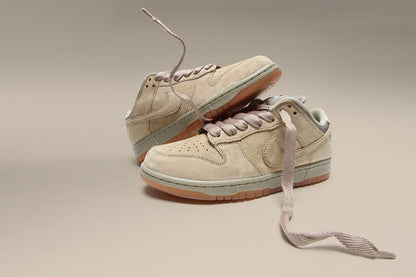 Dunk Low Pro B