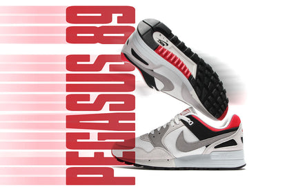 Air Pegasus '89