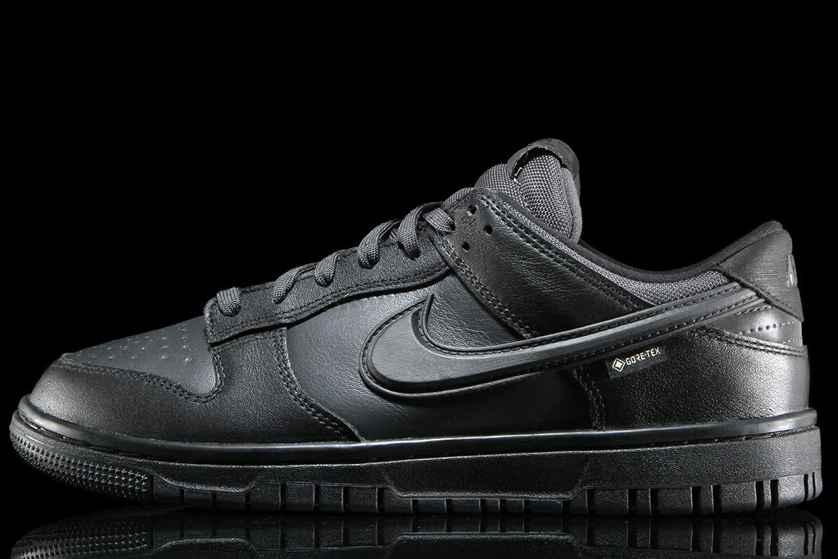 Dunk Low GTX