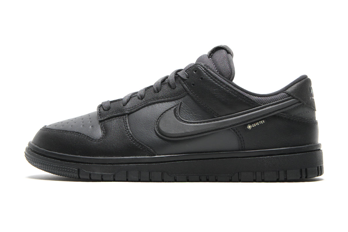Dunk Low GTX