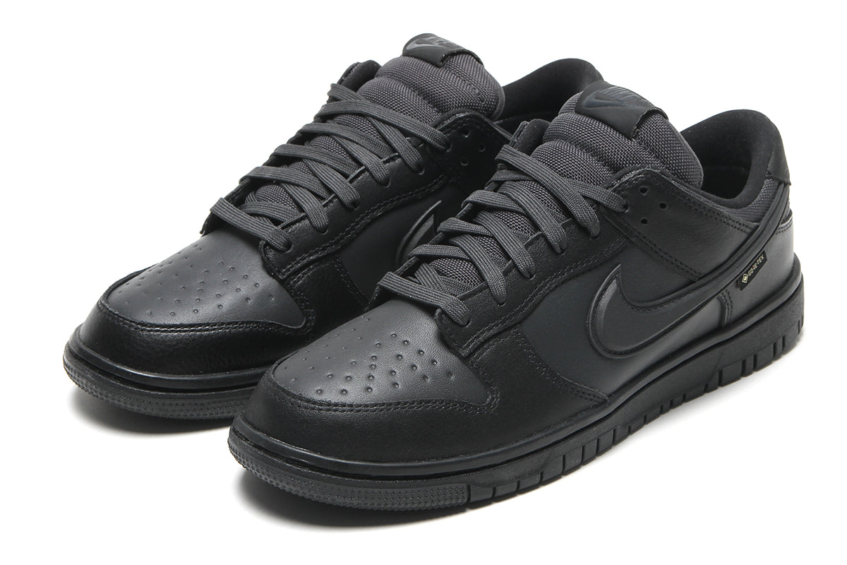 Dunk Low GTX