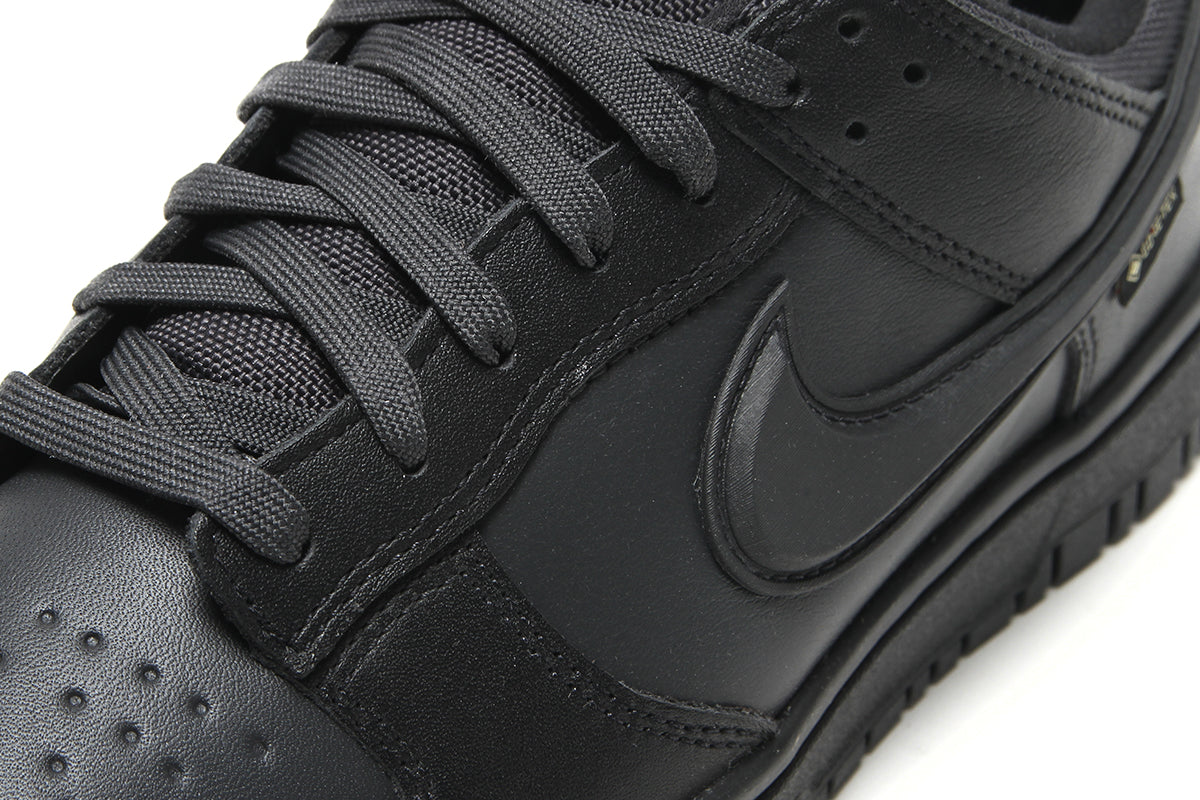 Dunk Low GTX