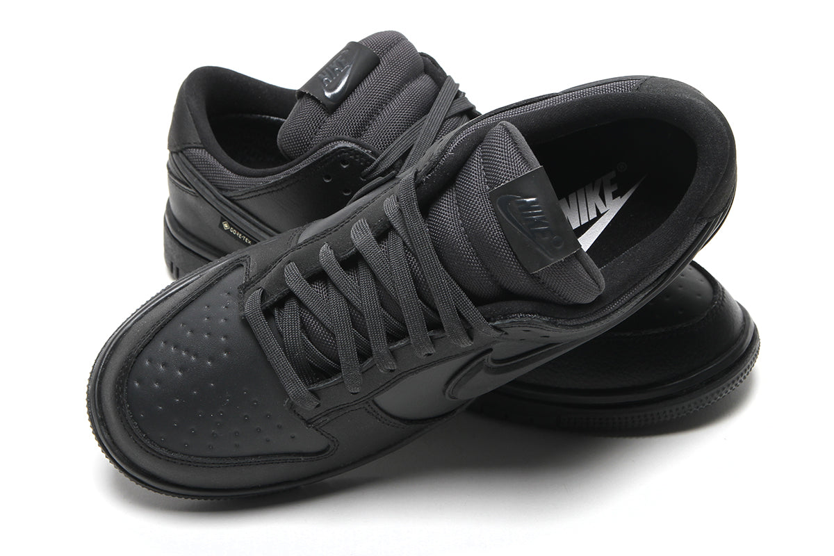 Dunk Low GTX