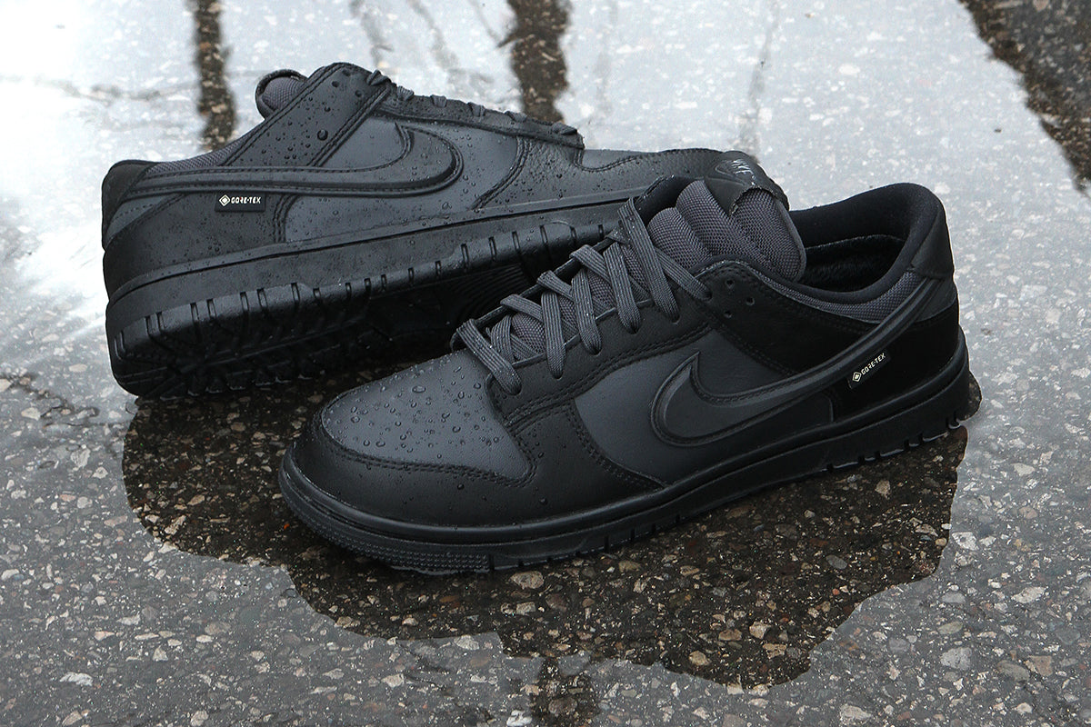 Dunk Low GTX