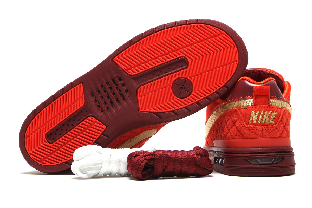 Paul Rodriguez Zoom Air Low