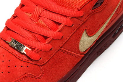Paul Rodriguez Zoom Air Low