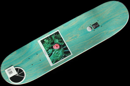 Boserio - Amaryllis Deck 8.375"
