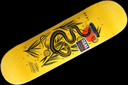 Wilkins - Mudgett Deck 8.86"