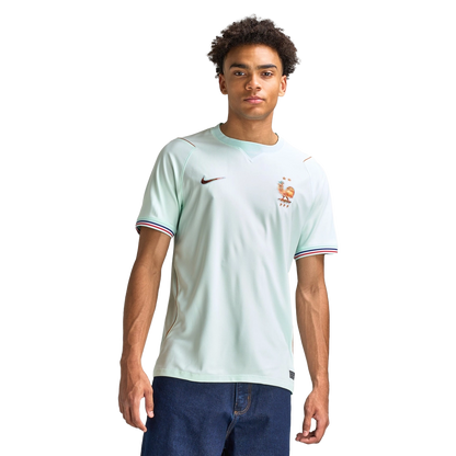Nike Men's Fff 2026 Stadium Away Apparel - Igloo / Monarch / Aqua