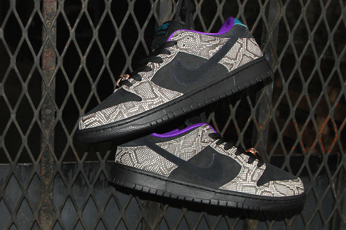 Dunk Low Pro x Dashawn Jordan